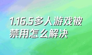 1.16.5多人游戏被禁用怎么解决