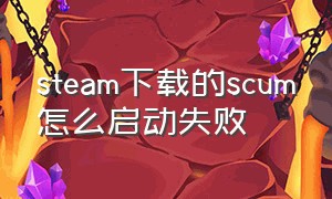 steam下载的scum怎么启动失败