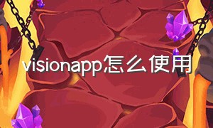 visionapp怎么使用