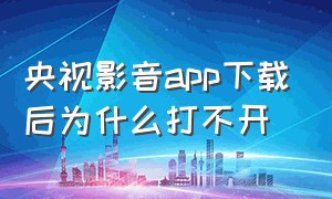 央视影音app下载后为什么打不开