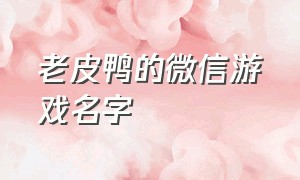 老皮鸭的微信游戏名字