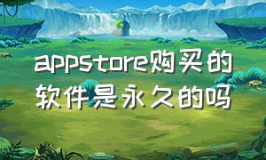 appstore购买的软件是永久的吗