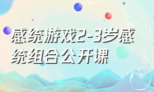 感统游戏2-3岁感统组合公开课