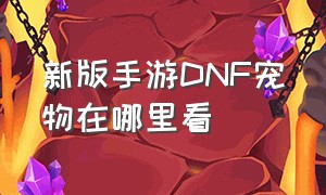 新版手游DNF宠物在哪里看