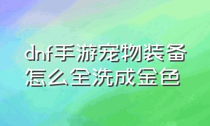 dnf手游宠物装备怎么全洗成金色