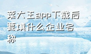 菜大王app下载后要填什么企业名称