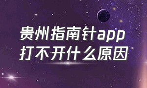 贵州指南针app打不开什么原因