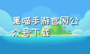 黑喵手游官网公众号下载