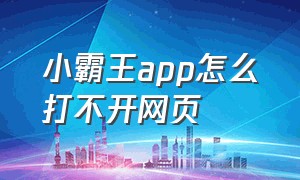 小霸王app怎么打不开网页