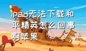 ipad无法下载和平精英怎么回事啊苹果