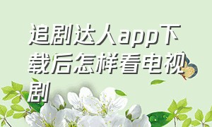 追剧达人app下载后怎样看电视剧