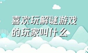 喜欢玩解谜游戏的玩家叫什么