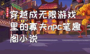 穿越成无限游戏里的寡夫npc笔趣阁小说