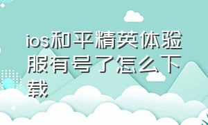 ios和平精英体验服有号了怎么下载