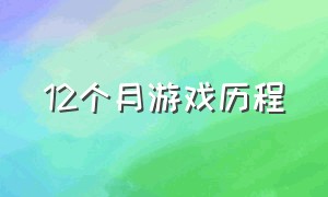 12个月游戏历程