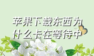 苹果下载东西为什么卡在等待中