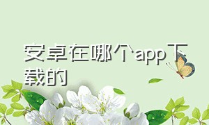 安卓在哪个app下载的