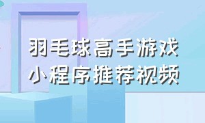 羽毛球高手游戏小程序推荐视频