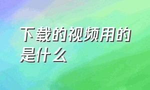 下载的视频用的是什么