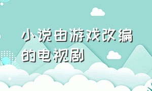 小说由游戏改编的电视剧