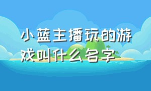 小蓝主播玩的游戏叫什么名字