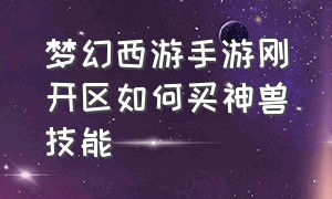 梦幻西游手游刚开区如何买神兽技能