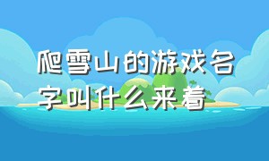 爬雪山的游戏名字叫什么来着