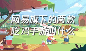 网易旗下的两款吃鸡手游叫什么