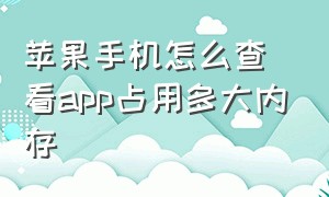 苹果手机怎么查看app占用多大内存