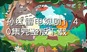孙红雷电视剧1-40集完整版下载