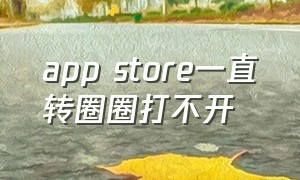 app store一直转圈圈打不开