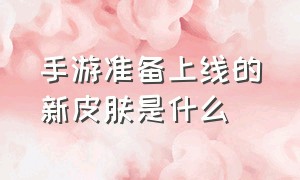 手游准备上线的新皮肤是什么