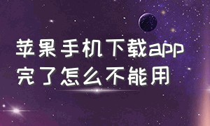 苹果手机下载app完了怎么不能用