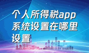 个人所得税app系统设置在哪里设置