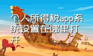 个人所得税app系统设置在哪里打开