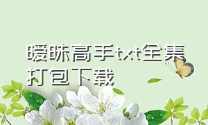 暧昧高手txt全集打包下载