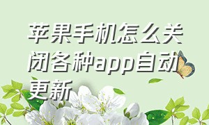 苹果手机怎么关闭各种app自动更新