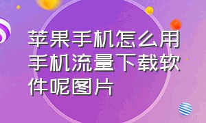 苹果手机怎么用手机流量下载软件呢图片