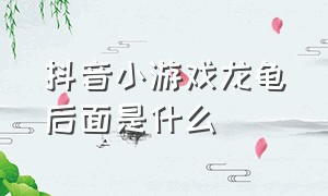 抖音小游戏龙龟后面是什么