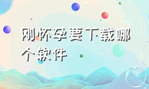 刚怀孕要下载哪个软件