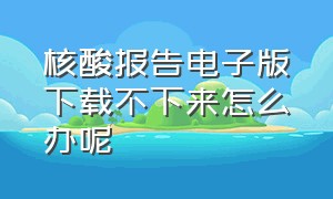 核酸报告电子版下载不下来怎么办呢