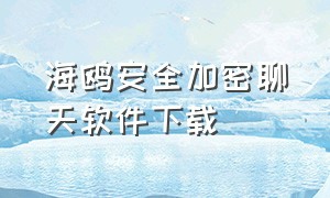 海鸥安全加密聊天软件下载