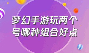 梦幻手游玩两个号哪种组合好点