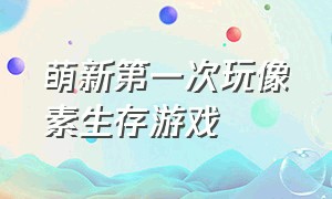 萌新第一次玩像素生存游戏