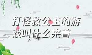 打怪救公主的游戏叫什么来着