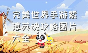 完美世界手游紫淳英魂攻略图片大全