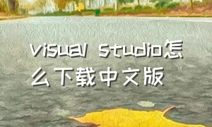 visual studio怎么下载中文版