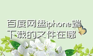 百度网盘iphone端下载的文件在哪