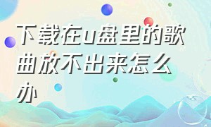 下载在u盘里的歌曲放不出来怎么办