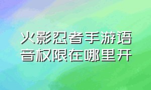 火影忍者手游语音权限在哪里开